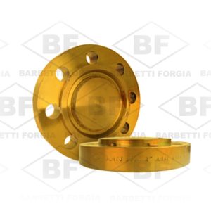 Brida Ciega RTJ (BlindRTJ)