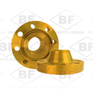 Brida Cuello Soldable RTJ (WNRTJ)