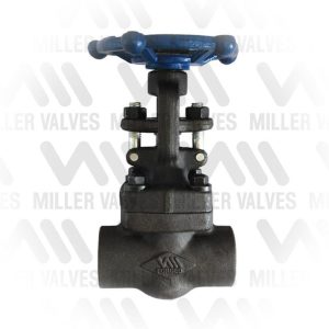 Válvula globo Fig. GL800 AC NPT